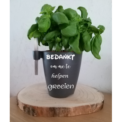 Kruidenpotje met gepersonaliseerde tekst